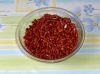 2010-07-23_03_Chili.jpg