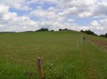 2012-07-18_030_Steinheim.jpg