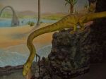 2013-07-23_033_Triassic.jpg